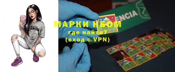 индика Сатка