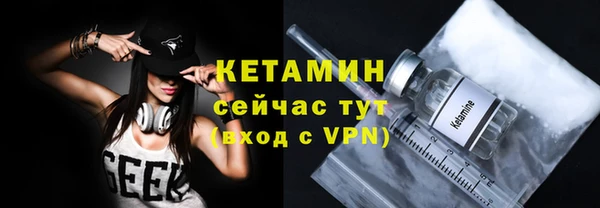 индика Сатка