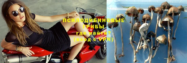 кокс Баксан