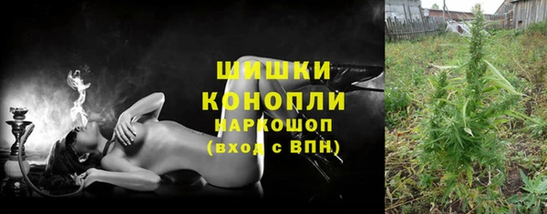 индика Сатка