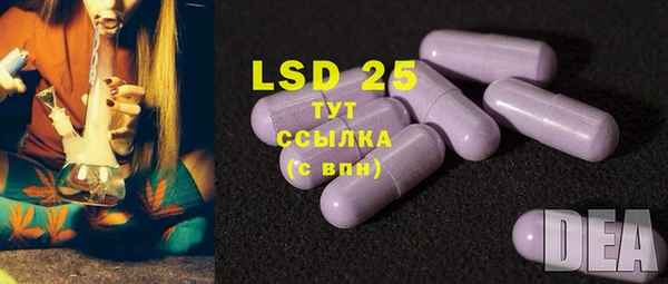 гидра Балахна
